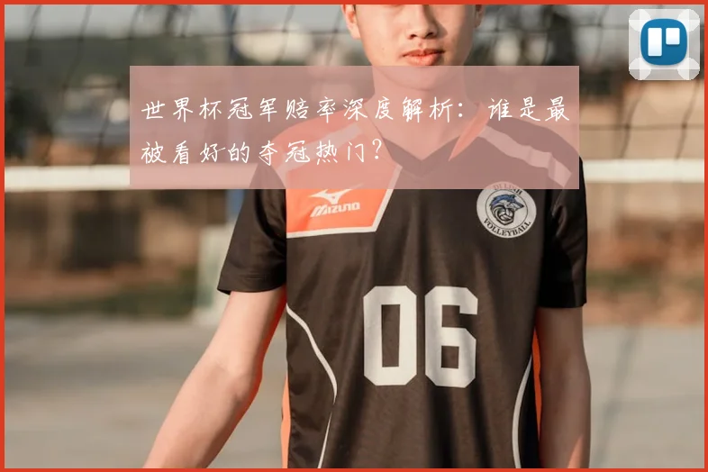 世界杯冠军赔率深度解析：谁是最被看好的夺冠热门？